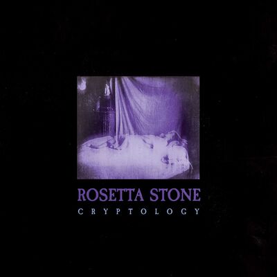 Rosetta Stone LP - Cryptology | Buy Now For 49.99
