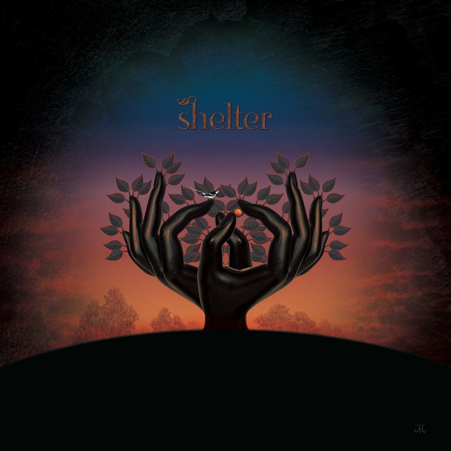 Laughing Stock LP - Shelter | Buy Now For 49.99