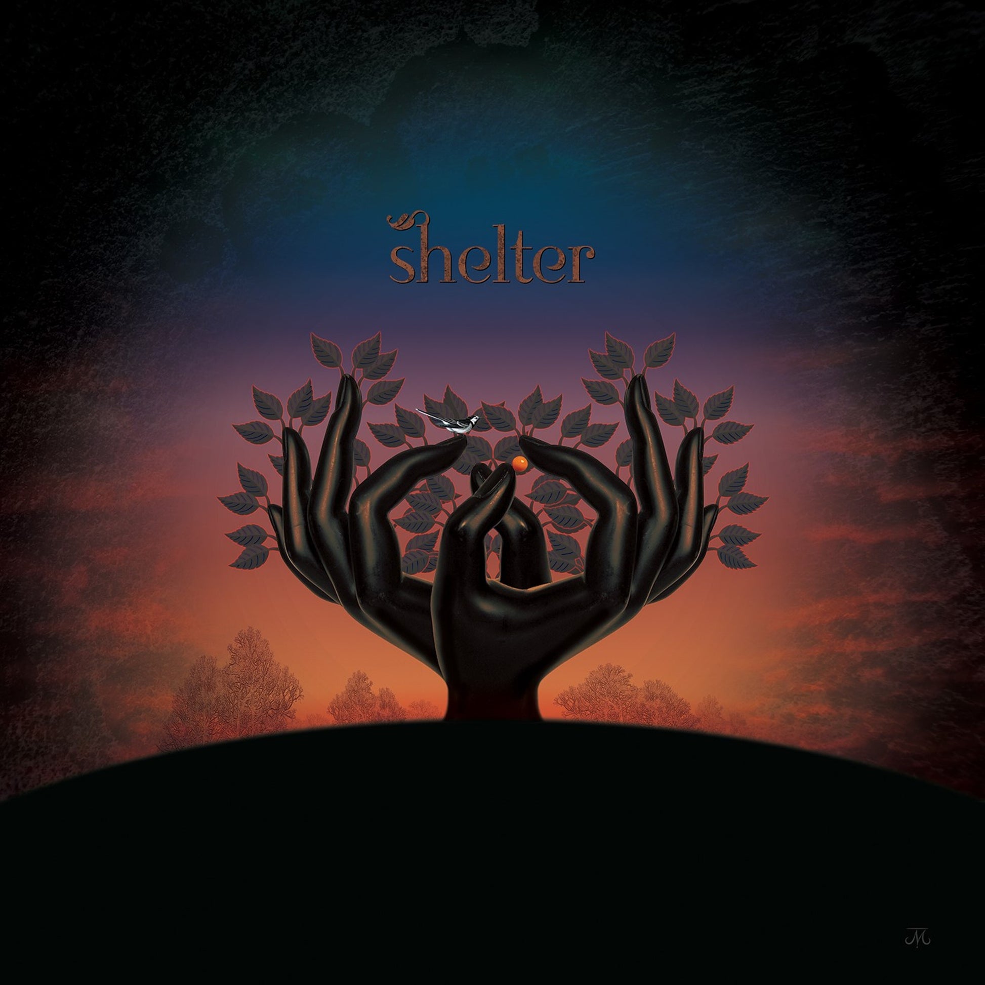 Laughing Stock LP - Shelter | Buy Now For 49.99