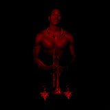 Christian Scott LP - Ruler Rebel | Buy Now For 44.99