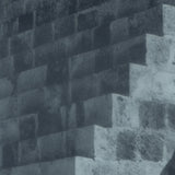 Pop Vulture LP - Another Success | Buy Now For 39.99