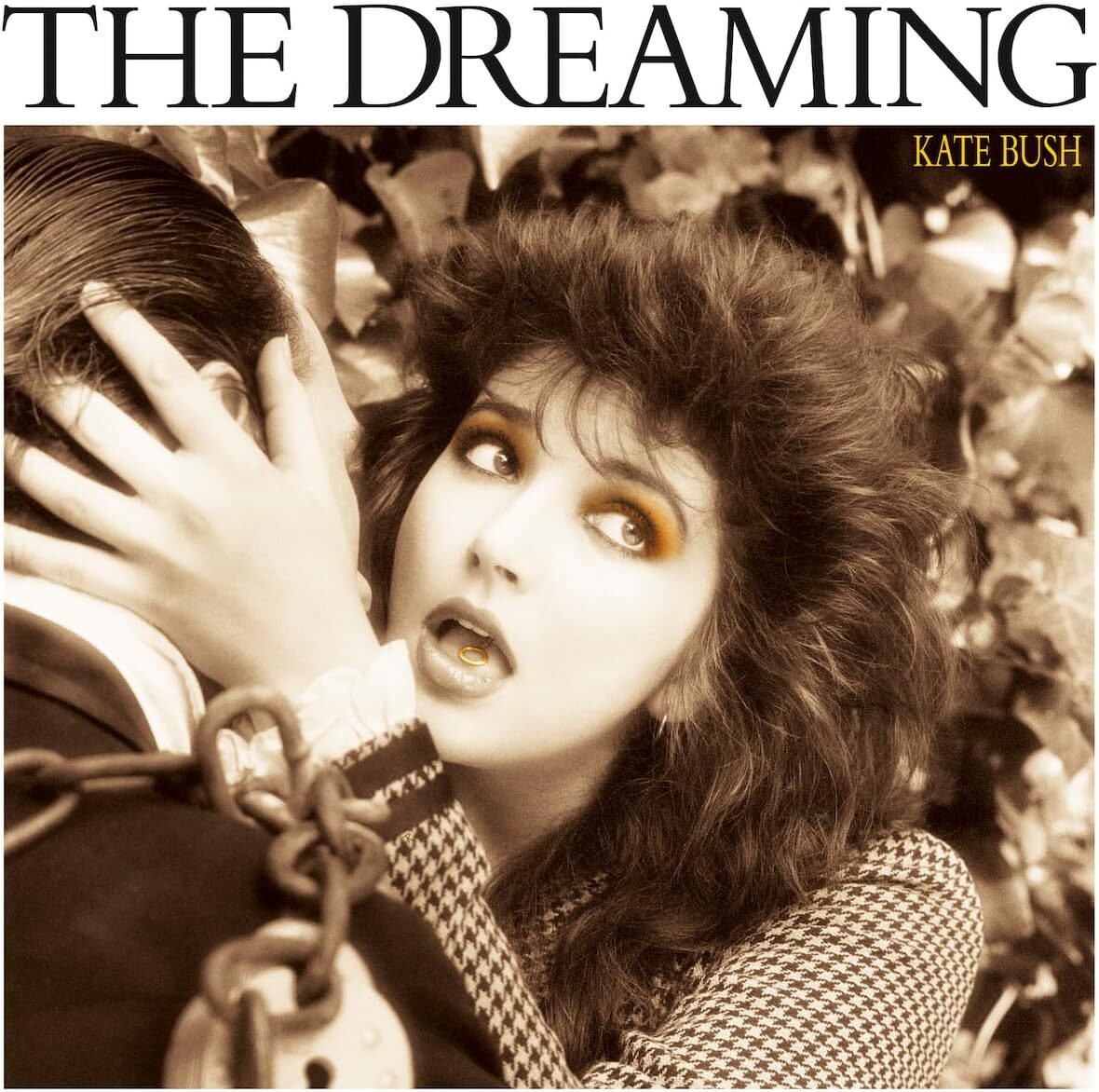 Kate Bush LP - The Dreaming (2018 Remaster) (Smokey Vinyl) (Indies Only)