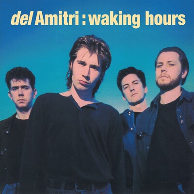Del Amitri LP - Waking Hours | Buy Now For 44.99