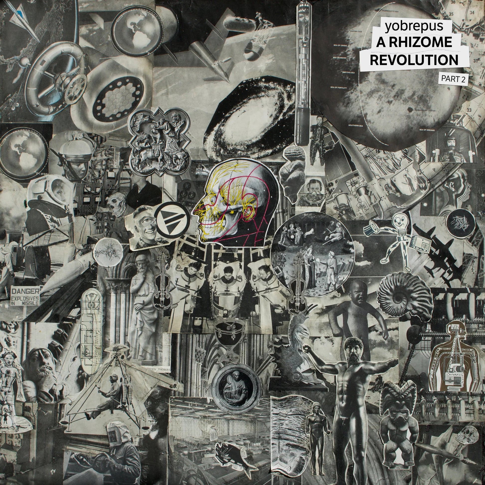 Yobrepus LP - A Rhizome Revolution Part 2 | Buy Now For 49.99