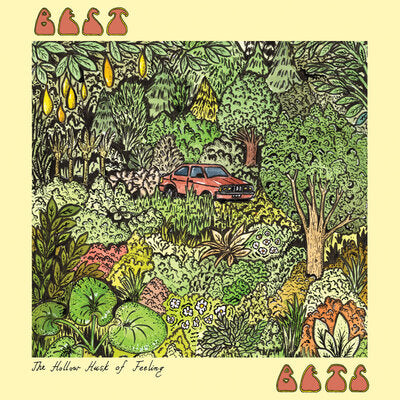 Best Bets LP - Hollow Husk Of Feeling The