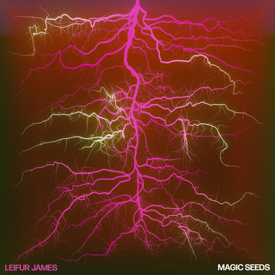 Leifur James LP - Magic Seeds | Buy Now For 39.99