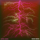 Leifur James LP - Magic Seeds | Buy Now For 39.99