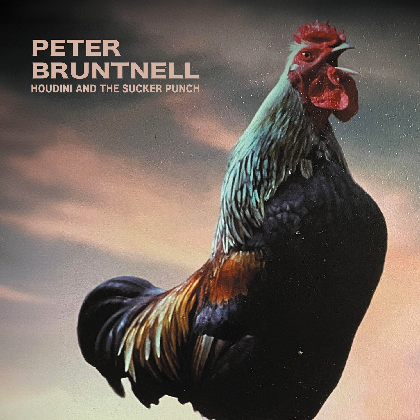 Peter Bruntnell LP - Houdini And The Sucker Punch [Vinyl] | Buy Now For 39.99