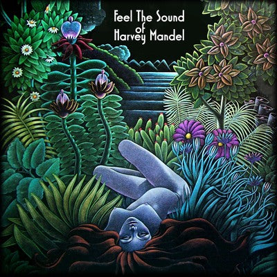 Harvey Mandel LP - Feel the Sound | Buy Now For 39.99