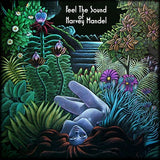 Harvey Mandel LP - Feel the Sound | Buy Now For 39.99