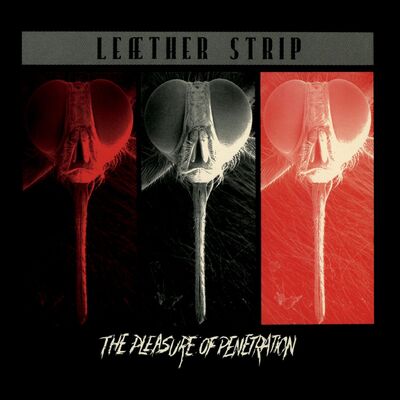 Leæther Strip LP - The Pleasure of Penetration | Buy Now For 49.99