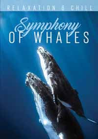 Various Artists DVD - Relax: Symphony Of Whales | Buy Now For 19.99