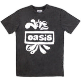 Oasis T Shirt - Logo Splat Stone Wash