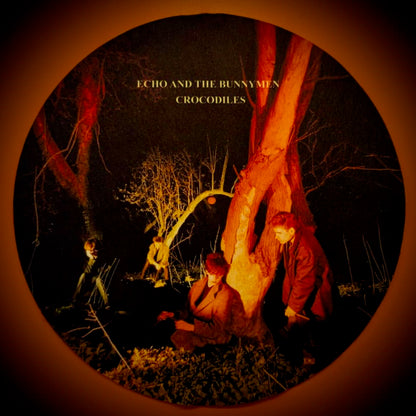 Official Echo & The Bunnymen Vinyl Record Deck Slip-Mats