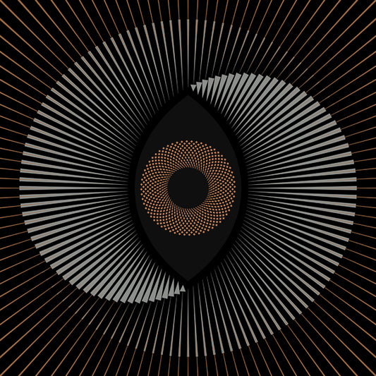  The Ocean LP - Holocene | Buy Now For 35.99