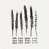 Lo! LP - The Gleaners | Buy Now For 35.99