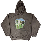 Pink Floyd Pullover Hoodie - Atom Heart Mother Fade | Buy Now For 39.99