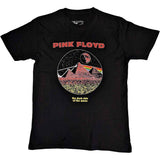 Pink Floyd T Shirt - Vintage Pyramids