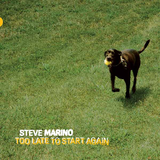 Steve Marino LP - Too Late To Start Again | Buy Now For 47.99