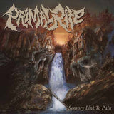 Primal Rite LP - Sensory Link To Pain