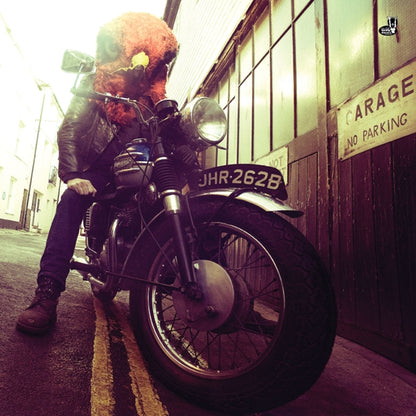 Admiral Sir Cloudesley Shovell LP - Check 'Em Before You Wreck 'Em | Buy Now For 37.99