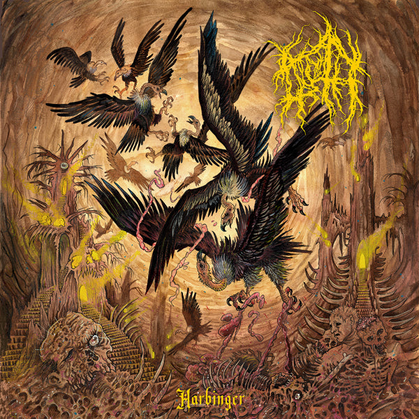 Noroth LP - Harbinger | Buy Now For 29.99