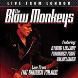Blow Monkeys DVD - Live From London | Buy Now For 19.99