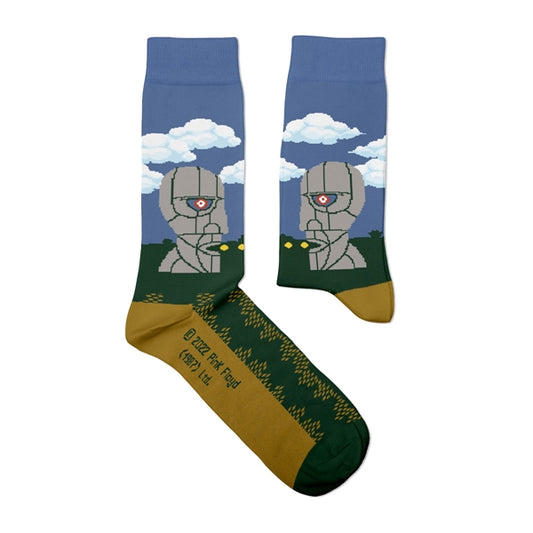 Pink Floyd Socks - Division Bell