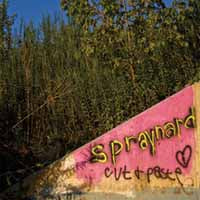 Spraynard LP - Cut And Paste | Buy Now For 23.99