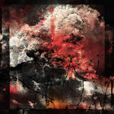 Ruin Lust LP - Dissimulant | Buy Now For 52.99