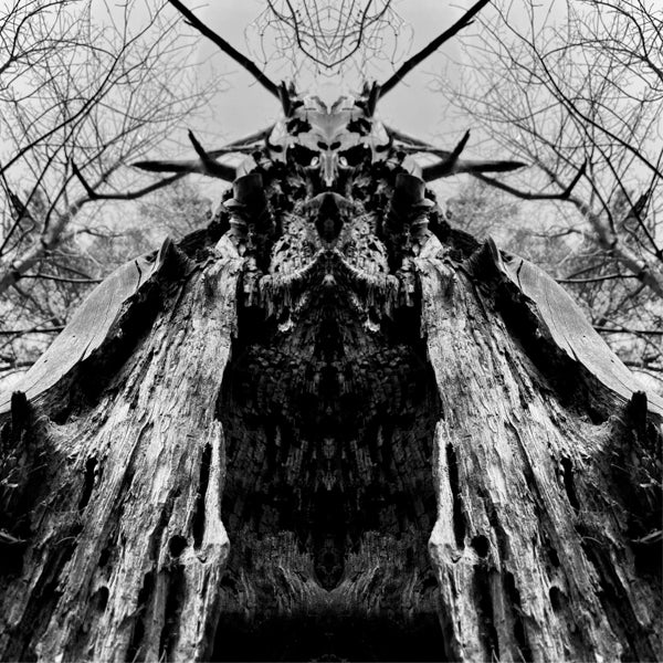 Rulaman LP - To Serve The Dune (Trans Green Vinyl) | Buy Now For 62.99