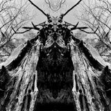 Rulaman LP - To Serve The Dune (Trans Green Vinyl) | Buy Now For 62.99