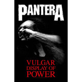 Pantera Poster - Vulgar Display Of Power