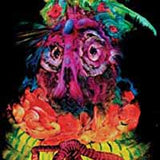 Quest For Fire LP - Lights From Paradise | Buy Now For 29.99
