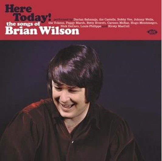 Various Artists LP - Here Today! - The Songs Of Brian Wilson | Buy Now For 50.99