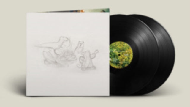 Big Thief LP Vinyl Record - Dragon New Warm Mountain I Believe In You