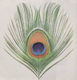 XTC LP Vinyl Record - Wasp Star (Apple Venus Vol. 1)