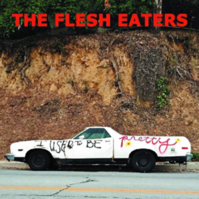 Flesh Eaters LP Vinyl Record - I Used To Be Pretty