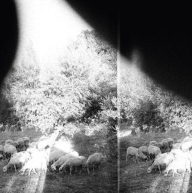 Godspeed You Black Emperor LP Vinyl Record  Asunder Sweet And Other Distress