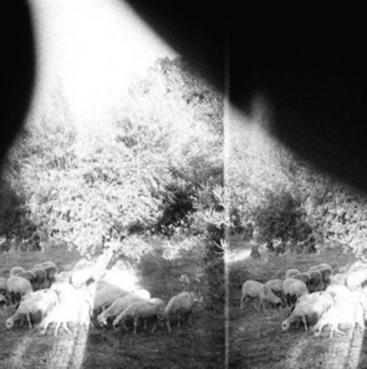 Godspeed You Black Emperor LP Vinyl Record  Asunder Sweet And Other Distress