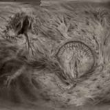 Nidsang CD - Into The Womb Of Dissolving Flames