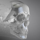 Bardspec CD - Hydrogen