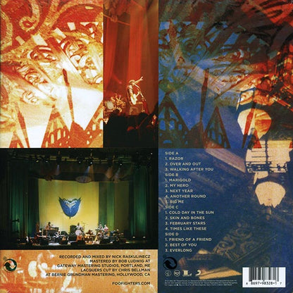 Foo Fighters  LP -  Skin And Bones