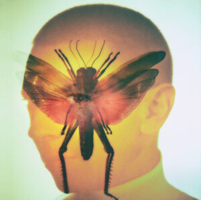 Maelstrom LP - Rhizome | Buy Now For 34.99