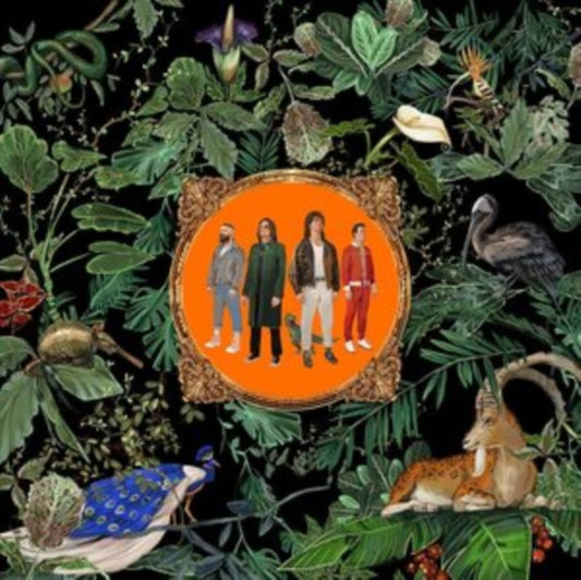 Don Broco LP Vinyl Record - Amazing Things