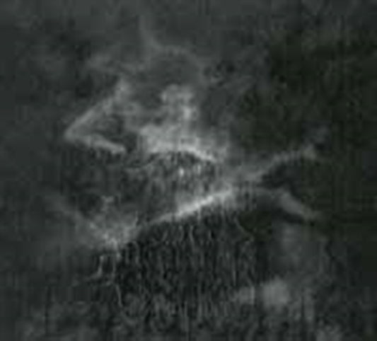 Inhuman Hate CD - Twilight Of A Lost Soul