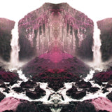 Tusks LP Vinyl Record - Avalanche
