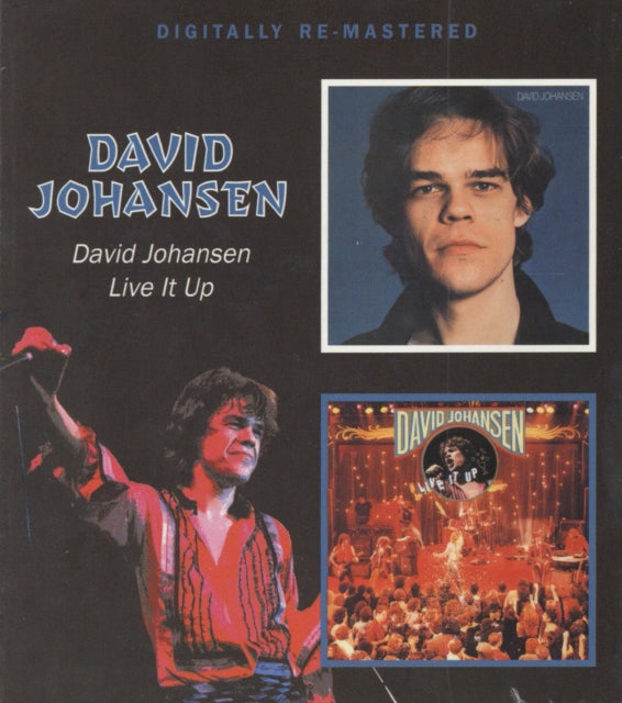 David Johansen CD - David Johansen / Live It Up