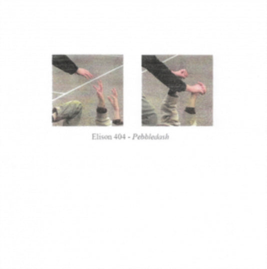 Elison 404 LP Vinyl Record - Pebbledash