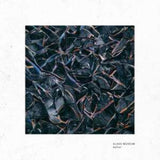 Glass Museum LP Vinyl Record - Reflet